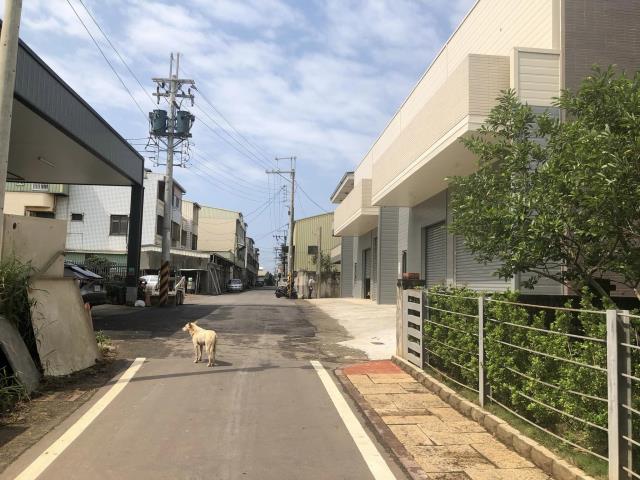 清水廠房-1