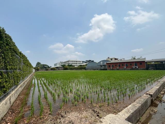 大雅農舍-14