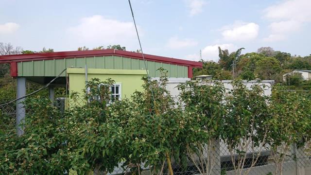 東勢農地-3