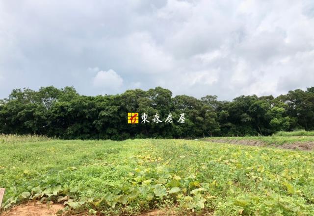 大雅農地-0