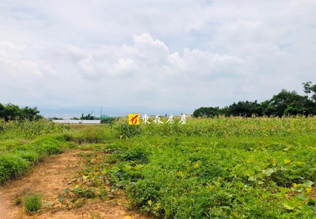 大雅農地-1