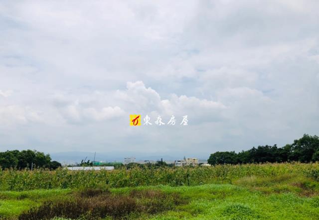 大雅農地-2