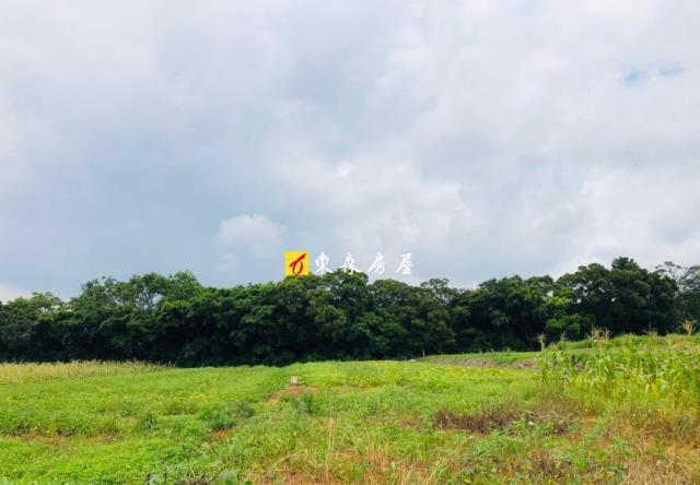 大雅農地-3