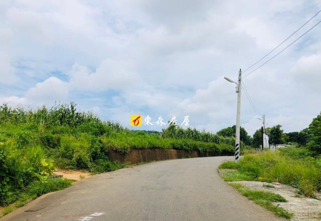 大雅農地-4