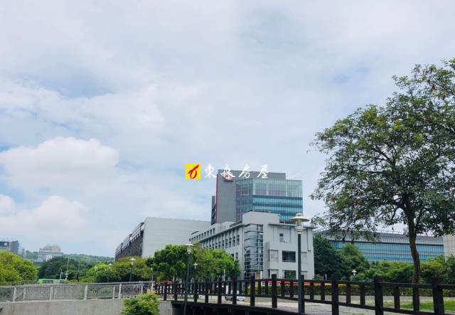 台中農地-6