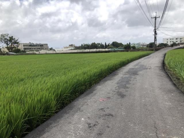 台中西屯農地-3