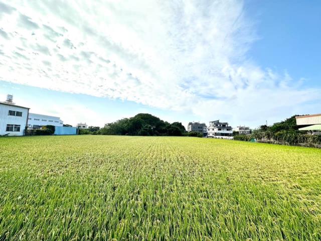 台中大雅農地-1