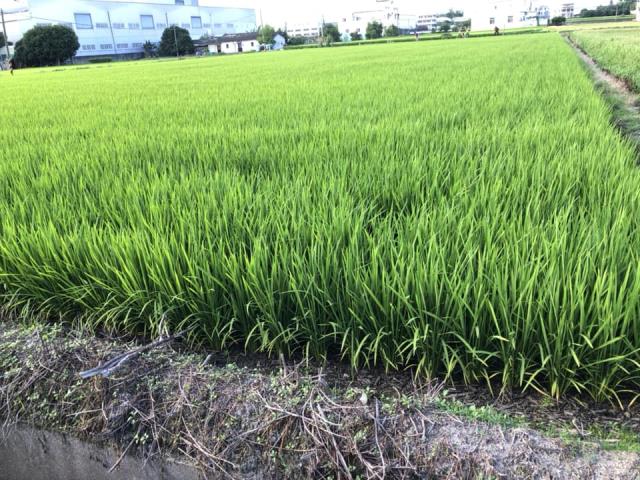 台中農地-0