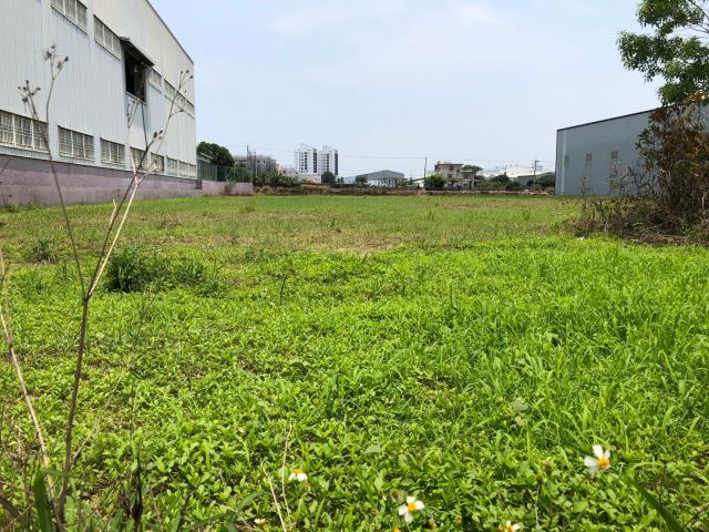 大雅農地-1