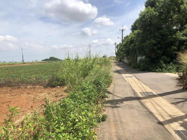 清水農地-1