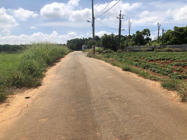 清水農地-1