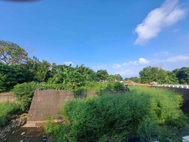 台中農地-3