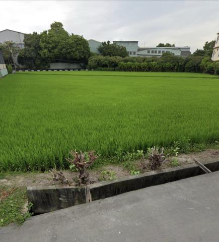 台中大雅農地-0