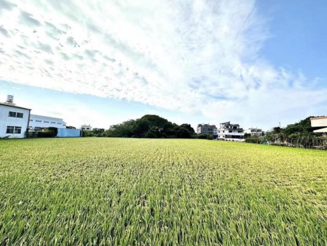 台中大雅農地-0