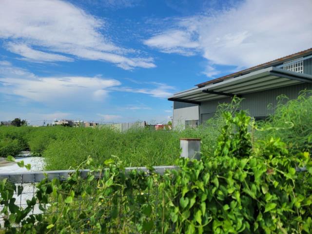 台中大雅農地-0