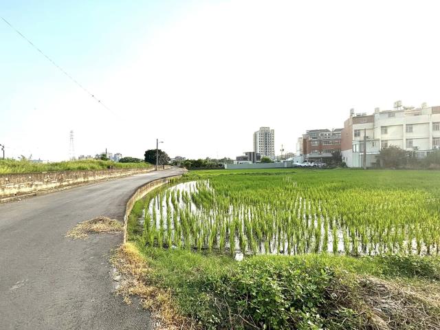 台中農地-5