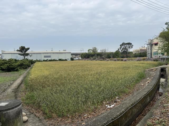 台中大雅農地-5