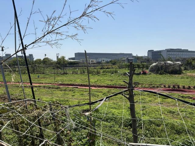 台中大雅農地-0