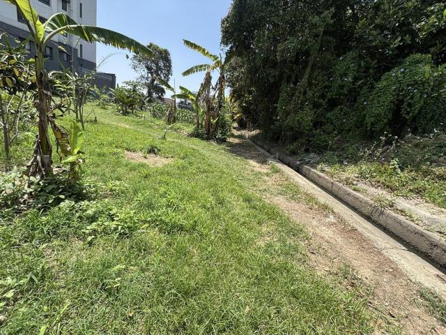 台中大雅農地-6
