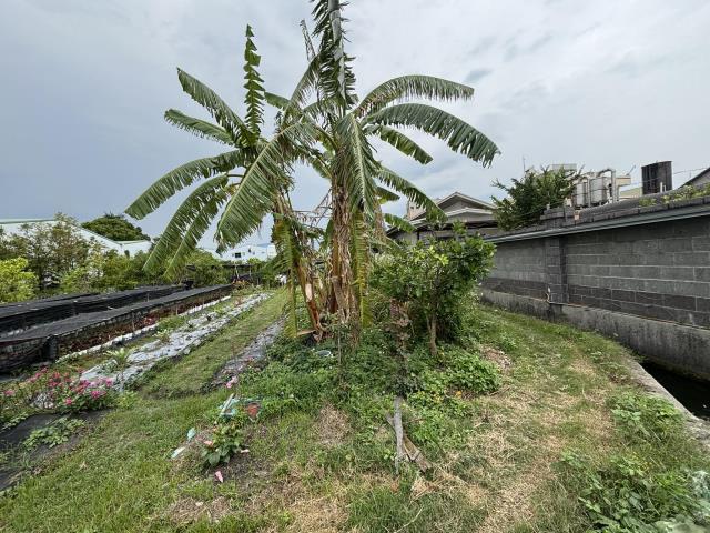 大雅農地-7