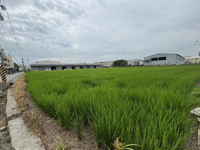 大雅農地-3