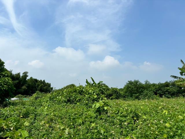 台中農地-0