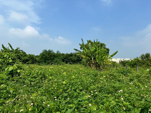 台中農地-1