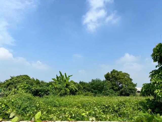 台中農地-2