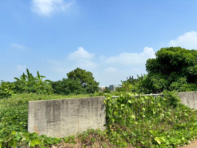 台中農地-4
