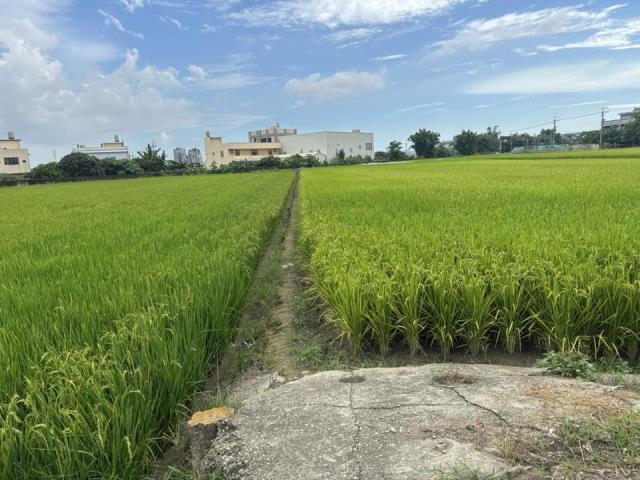 大雅農地-2