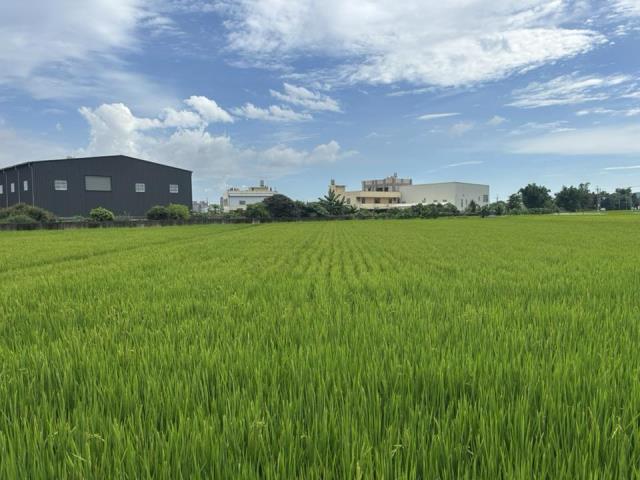 大雅農地-3