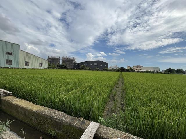 大雅農地-4