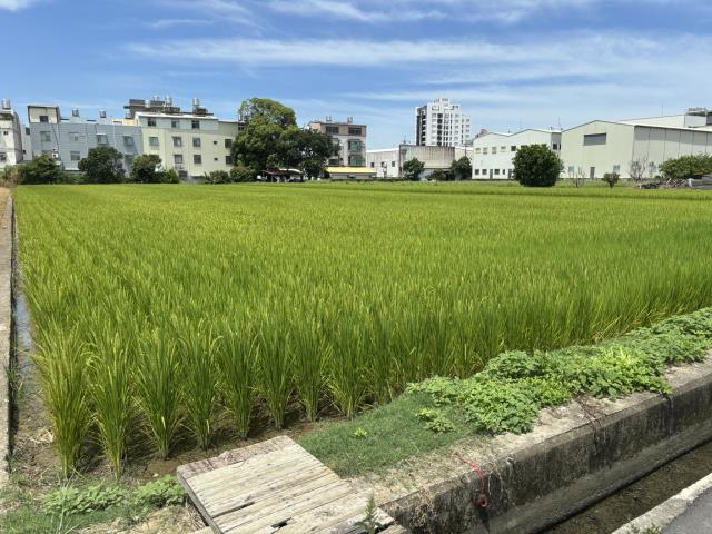 台中農地-0