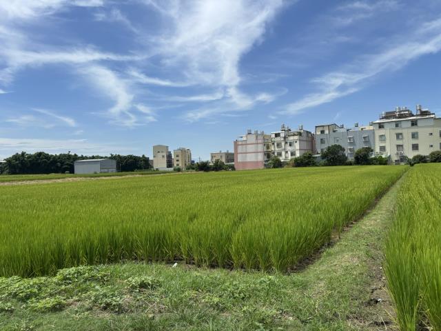 台中農地-1
