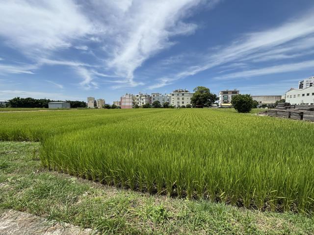 台中農地-2