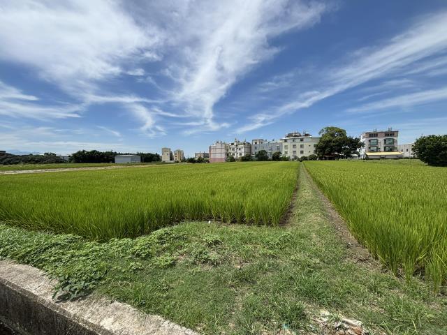 台中農地-4