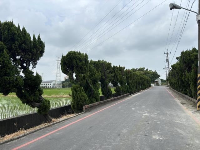 台中大雅農地-2
