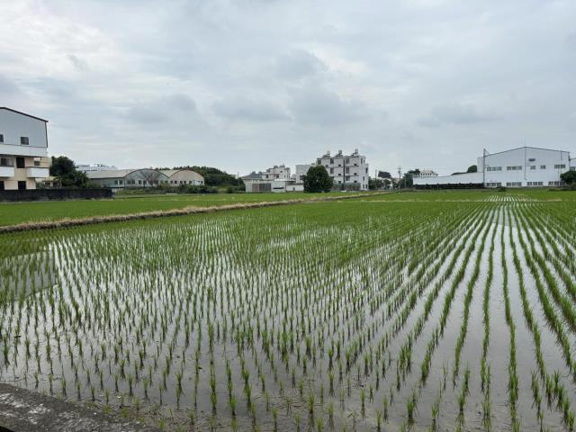 台中大雅農地-7