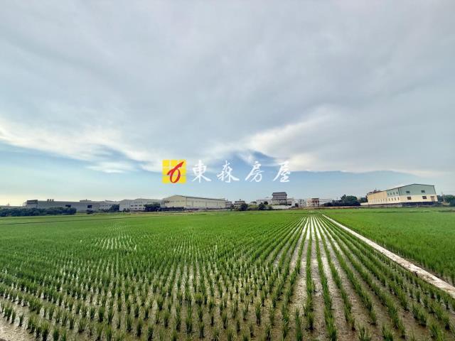 神岡農地-1