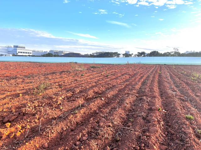 台中大雅農地-1