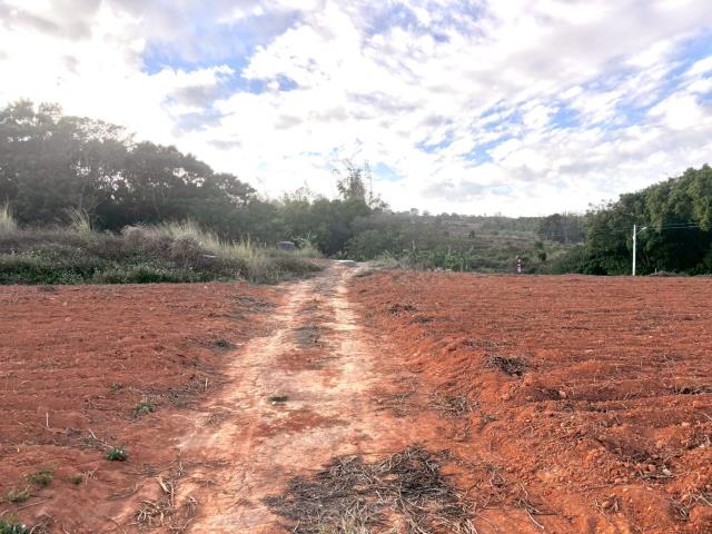 台中大雅農地-4