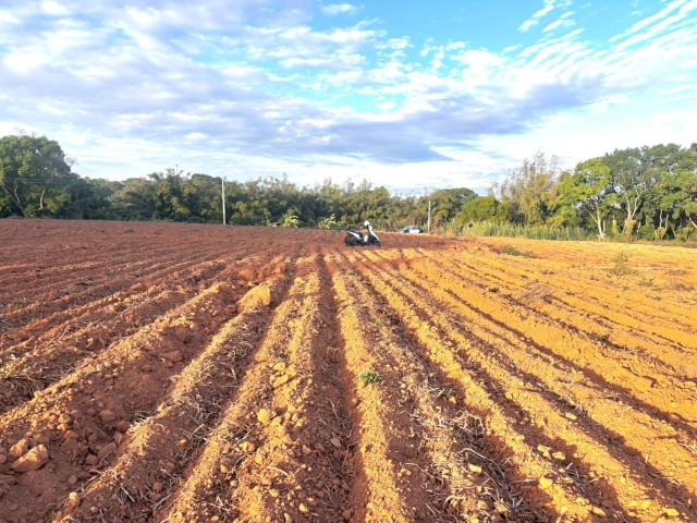 台中大雅農地-5