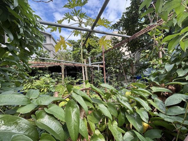 台中西屯住宅地-1