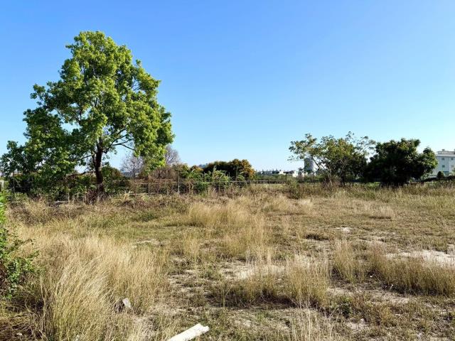 台中西屯農地-0