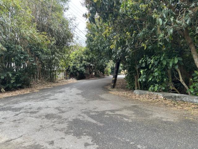 神岡農地-3