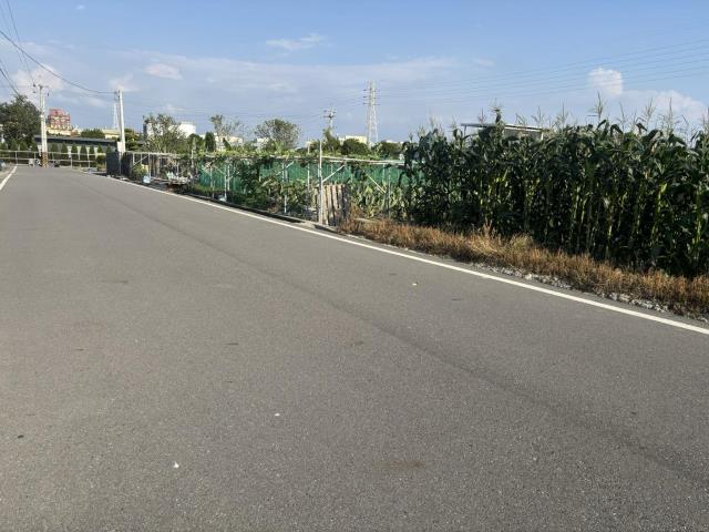 大雅農地-0