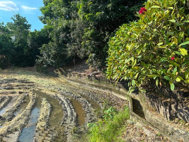 台中農地-0
