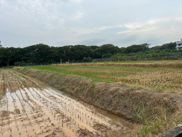 大雅農地-0