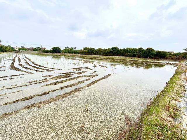 神岡農地-1