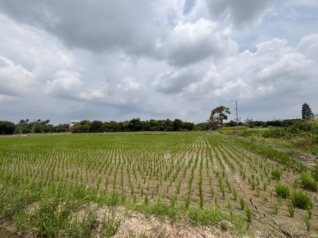 台中神岡農地-0